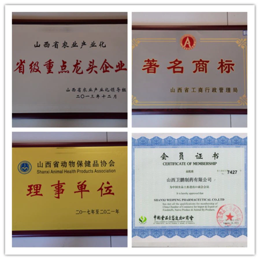 The whole internal logistics system solutions